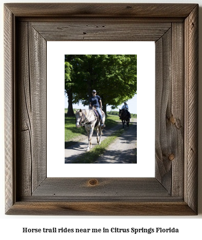 horse trail rides near me in Citrus Springs, Florida